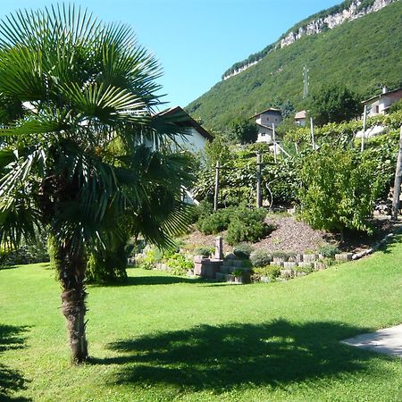 Garni Hotel Ritterhof Termeno Esterno foto