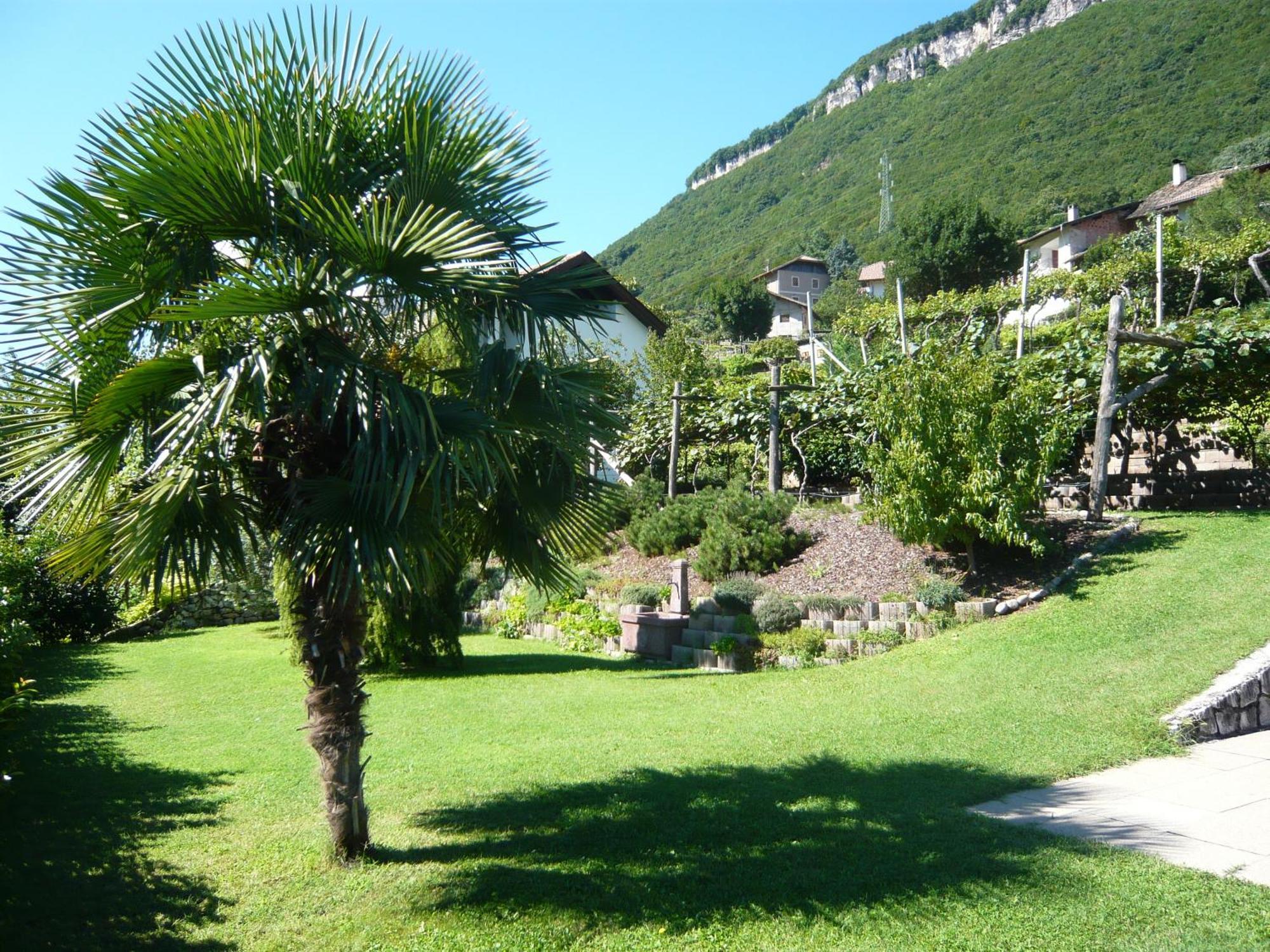 Garni Hotel Ritterhof Termeno Esterno foto